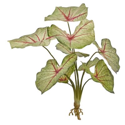 Caladium white queen kunstplant 40cm