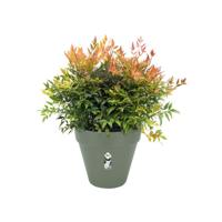 Elho Pot loft urban 20cm groen - thumbnail