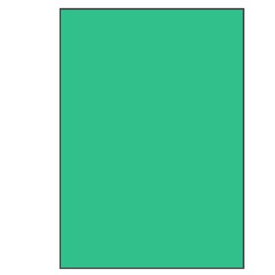 Groene A4 etiketten 210 x 297 mm 100 vel Sorex Groene A4 etiketten 210 x 297 mm 100 vel Sorex