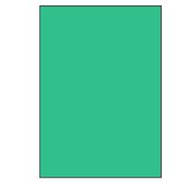 Groene A4 etiketten 210 x 297 mm 100 vel Sorex - thumbnail