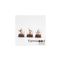 Farmwood Animals Vogel schudbol 4,5x4,5x6cm - thumbnail