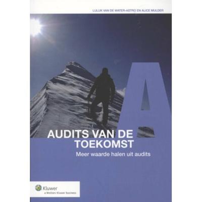 Audits van de toekomst (Paperback)