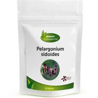 Pelargonium sidoides | 60 capsules | Vitaminesperpost.nl - thumbnail