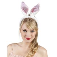 Konijnenoren - thumbnail