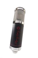 Monkey Banana Mangabey Zwart - thumbnail