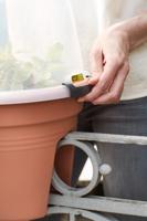 Elho green basics kweekhuis flower bridge 55 cm transparant - thumbnail