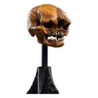 Lord of the Rings Mini Statue Skull of a Misty Mountain Goblin 14 cm - thumbnail