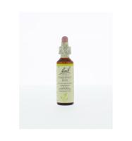 Bach Flower Remedies Kastanjeknop 07 - thumbnail