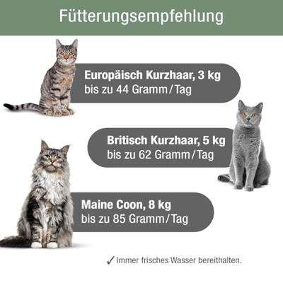 PLATINUM - Kattenvoer MeatCrisp Sterilised Fish uit de versvleesdroger - 1,5 kg kattenvoer met 82% vers vlees - droogvoer voor katten - Crispy Biss - gereduceerd caloriegehalte