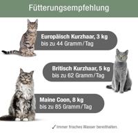 PLATINUM - Kattenvoer MeatCrisp Sterilised Fish uit de versvleesdroger - 1,5 kg kattenvoer met 82% vers vlees - droogvoer voor katten - Crispy Biss - gereduceerd caloriegehalte - thumbnail