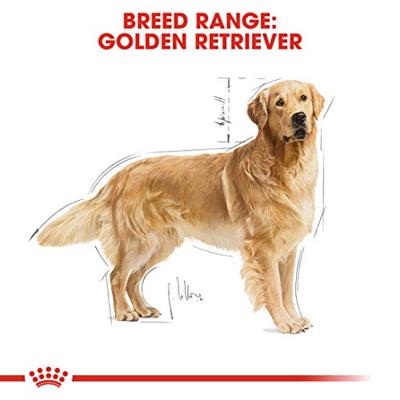 Royal Canin Adult Golden Retriever hondenvoer 2 x 3 kg - thumbnail
