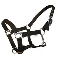S2G halster Standard Haflinger verstelbaar nylon zwart - thumbnail