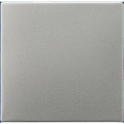 Jung ES2990 Wisselschakelaar, Knop Afdekking 1-voudig RVS 1 stuk(s)