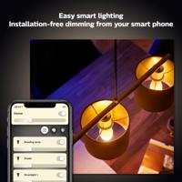 Philips Lichtbron kaars Hue - E14 - 6W - White set van 2 929003021102 - thumbnail