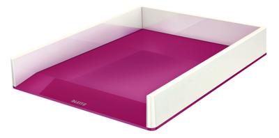 Organizers Leitz Roze Plastic