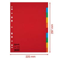 Esselte tabbladen Economy 10 tabs - thumbnail