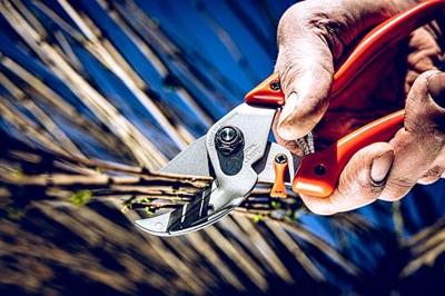 Original Lowe Snoeischaar | totale lengte 210 mm | snijvermogen 24 mm m. ku-grepen | met kunststof grepen | 1 stuk - 8.107 8.107 Original Lowe Snoeischaar | totale lengte 210 mm | snijvermogen 24 mm m. ku-grepen | met kunststof grepen | 1 stuk - 8.107 8.107