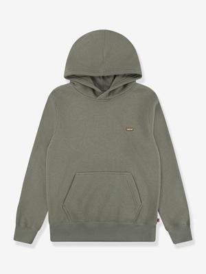 Sweater met capuchon Mini Batwing Hoodie LEVI'S® kaki