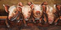 Schilderij - Metaalschilderij - Vrolijke varkens, 120x60cm - thumbnail