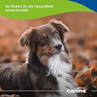 Canina Barfer's Best, per stuk verpakt (1 x 0,5 kg), lichtbruin - thumbnail