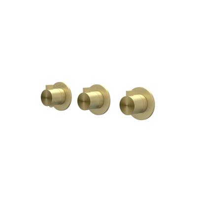 Afbouwdeel IVY Tribe Inbouwthermostaat 2 Stopkranen Symmetry Met Ronde Rozetten RVS316 Geborsteld Mat Goud PVD IVY