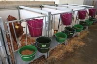 Voederschaal 8 l olijfgroen - thumbnail