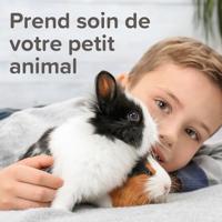 BEAPHAR GEURSTOP KNAAGDIER 600 GR - thumbnail