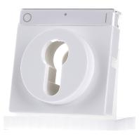 Busch-Jaeger 2CKA001710A3175 Sleutelschakelaar, Sleuteltoets Afdekking Axcent Wit, Verkeerswit 1 stuk(s) - thumbnail