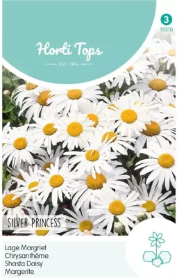 Zaden Chrysanthemum lage Margriet Silver Princess Hortitops - Hortitops Zaden Chrysanthemum lage Margriet Silver Princess Hortitops - Hortitops