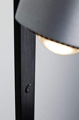 Paulmann Aldan 79717 Staande LED-lamp LED 17 W Aluminium (geborsteld), Zwart