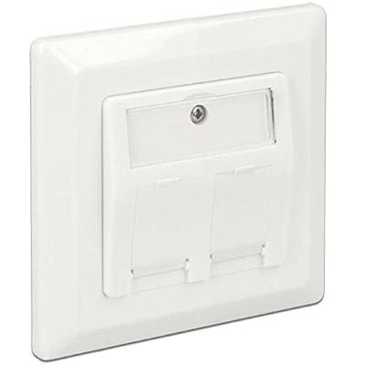 DeLOCK Keystone Wall Outlet 2 Port doos - thumbnail