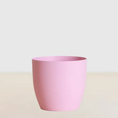 Oslo Lichtroze - P12