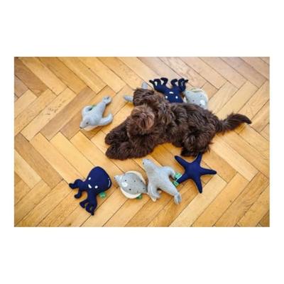 HUNTER Hondenspeelgoed Skagen zeester, grijs/blauw, 20 cm