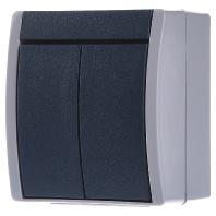 Busch-Jaeger 2601/5 W-53 Ocean (opbouw) Serieschakelaar spatwaterdicht Blauw, Groen