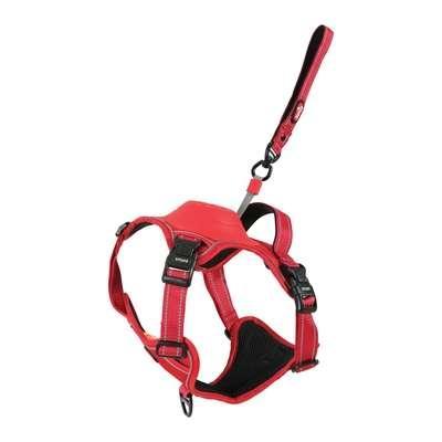 ZOLUX EASYRIDE HONDENTUIG ROOD ZOLUX EASYRIDE HONDENTUIG ROOD