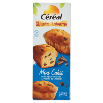 Cereal Mini Cakes Met Stukjes Chocolade Cereal Mini Cakes Met Stukjes Chocolade