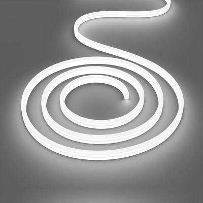 Neon LED Strip - Brinton Neo - 100 Meter - Helder/Koud Wit 6500K - Waterdicht IP65 - Directe Aansluiting op Netstroom - Werkt zonder Driver - SMD 2835