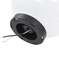 VidaXL Led-bollampen 2 st rond 20 cm pmma - thumbnail