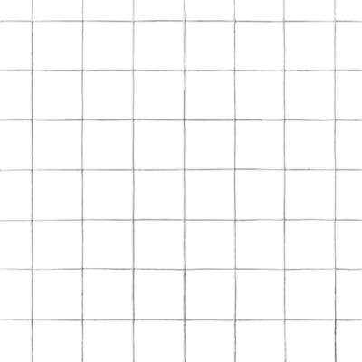 Kippengaas 25x0,5 m gegalvaniseerd staal zilverkleurig Kippengaas 25x0,5 m gegalvaniseerd staal zilverkleurig