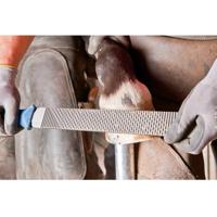 PFERD TOOLS 12612000 Vijlheft FH6/1 voor hoefschaaf & hoefrasp ergonomische op gebruik afgestemde vorm Lengte 106 mm 1 stuk(s) - thumbnail