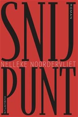 Snijpunt - Nelleke Noordervliet - ebook