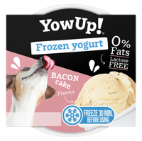 YowUp! Frozen Yoghurt Bacon Cake - thumbnail