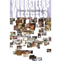 Elmer  Schonberger Vuursteens vleugels - thumbnail