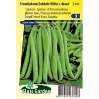 Stamslaboon (sperzieboon) zaden - thumbnail