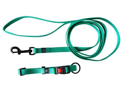 Karlie Halsband met lijn (Mint) Karlie Halsband met lijn (Mint)