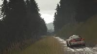 Sebastien Loeb Rally Evo - thumbnail