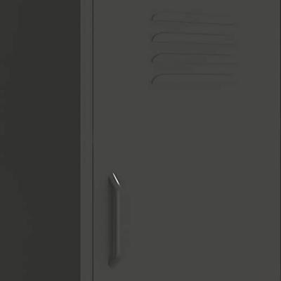 Opbergkast 42,5x35x101,5 cm staal antracietkleurig