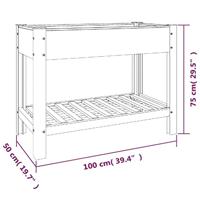 VidaXL Plantenbak verhoogd met schap 100x50x75 cm hkc - thumbnail