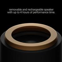 Teenage Engineering CH-8 Hatshepsut stem synthesizer - thumbnail