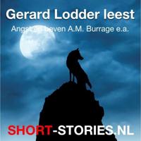 Gerard Lodder leest - thumbnail